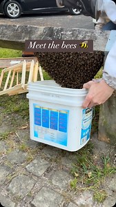 4.4K views · 1.8K reactions | Discover the Difference with Pure,...