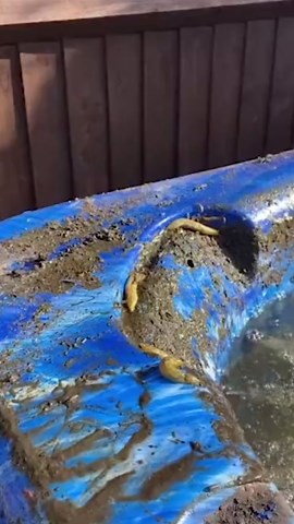 Step by Step Professional Hot Tub Deep Cleaning Tips to Keep Your Spa in Top Shape