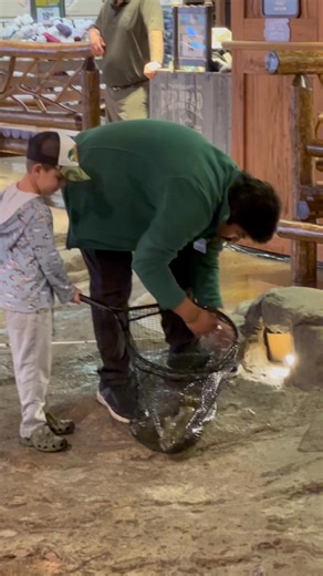 Misty Hartzog on Reels | Facebook