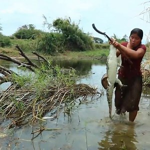 1.1M views · 314 shares | How she catch crocodile and cooking fish | CookPro | Facebook