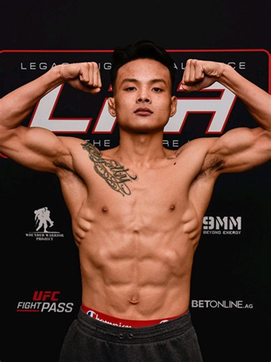 Hồ Tuấn An (An Tuan Ho) là một võ sĩ MMA gốc Việt, có biệt danh là