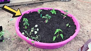 $7 Kiddie Pool Raised Garden Bed Tutorial