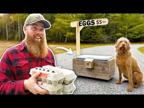 Can We Trust Strangers With Money? Honor System Egg Stand Build