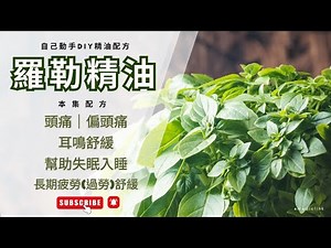 『 羅勒精油 』自己動手DIY精油｜頭痛｜耳鳴｜失眠｜過勞.疲勞【芳香系列】MEDICLINK美特博霖