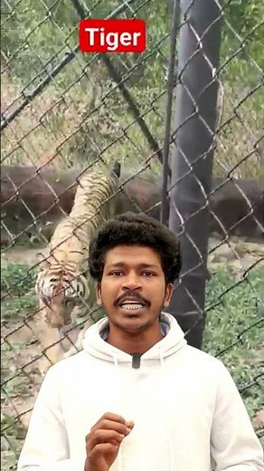 India’s Largest Zoo 🐅 | Sri Venkateswara Zoological Park, Tirupati 😲