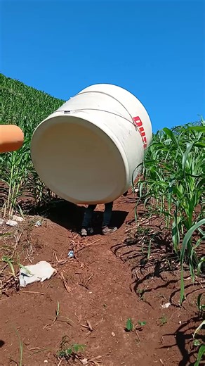 Videos de chokito (@chokito1319) con “sonido original - k_ballito🇬🇹 🖤🍻🖤🇬🇹”