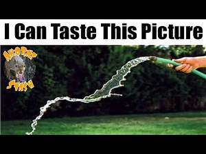 GEN X & Millennial Memes | BEST OF JUNE #akornzstash #90s #80s 70s 60s Memes I Found on the Internet