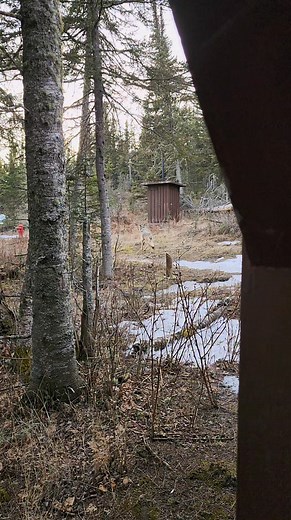 Just me and Spencer the Wolf sharing Rock Harbor real estate. She didn't check in at the marina though. #isleroyale #isleroyalenationalpark #wolfSighting #Wolf #naturelovers #wolves #puremichigan #lakesuperior #Wildlifemoments | Isle Royale Hub