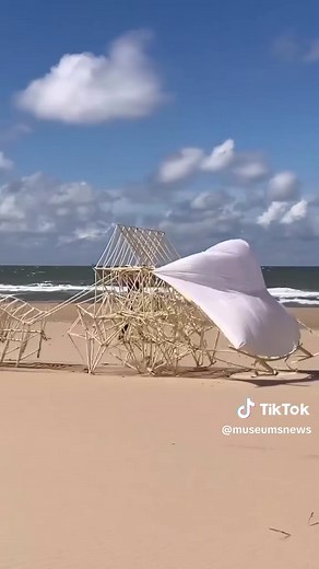 Dutch artist Theo Jansen has showcased his wind-powered 'Strandbeests'—his skeleton-like kinetic sculptures that crawl across beaches using wind power—across global venues through the years. These “beach animals” evolved through generations of experimentation. Highlights include a touring show at Japan’s Miyazaki Prefectural Art Museum (July–Sept 2024) and a landmark “Strandbeesten Mortuary” exhibit in Delft (May 29, 2025–ongoing), housed in a former cable factory. Each display invites awe at th