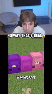 DrDonut reacts to dyeing shulkers 😱