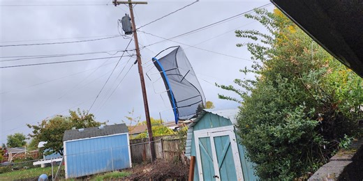 Winds, rain bring down trees, knock out power to thousands in NW Oregon