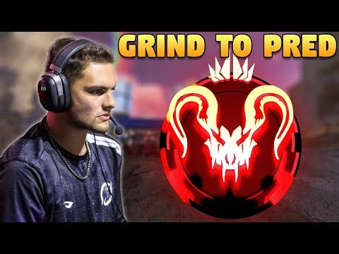 THE GRIND TO APEX PREDATOR