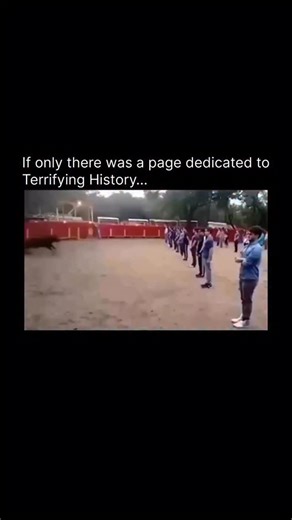 Terrifying History on Instagram: "On February 12, 2016, Mexican animal behaviorist Ricardo Torres Martínez conducted a groundbreaking experiment at the University of Guadalajara’s veterinary research facility to challenge misconceptions about bull aggression. Under controlled conditions, Martínez and 25 volunteers stood motionless in three parallel lines inside a 50-meter circular enclosure with a 1,200-pound fighting bull named “Valiente.” The bull, bred for traditional corridas, had previously