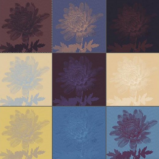 Jacquard Maker: The Software That Revolutionizes Jacquard Woven Fabrics