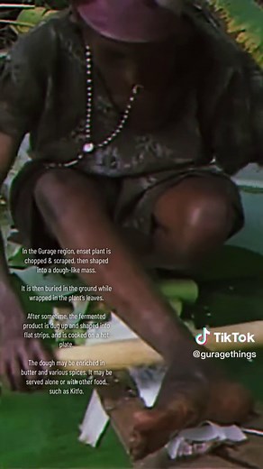 The Art of Making Kocho: A Traditional Gurage Food Process