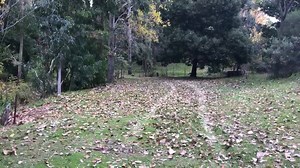 Secluded cosy couples getaway- feel the tranquility 🍂 Camp in comfort- heater, electric blanket, hot chocolate, fire pit & starry skies 🍂 https://m.facebook.com/wanderlustglamping/ | Wanderlust Glamping