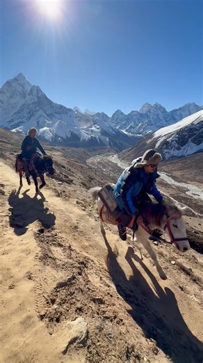 This is the Everest trail in Nepal 🇳🇵