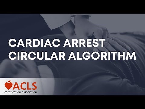 ACLS Cardiac Arrest Circular Algorithm | ACLS Certification Association