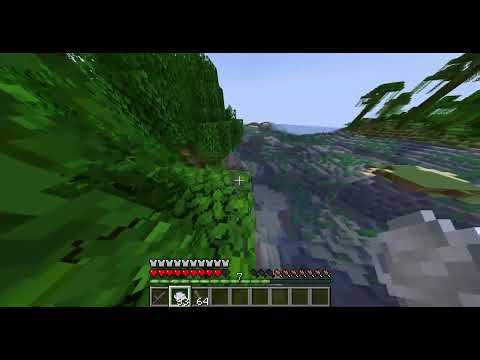 gramy w mc na anarchiaSMP