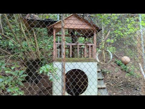 AWESOME Maya Key shore excursion in Roatan!