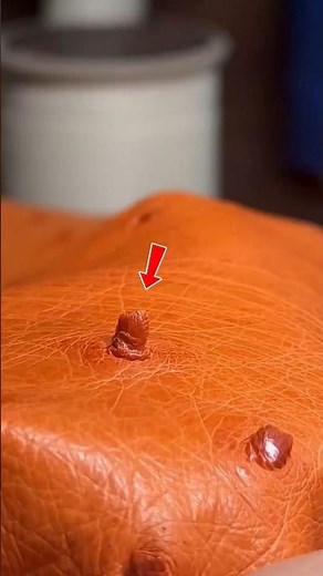 Why Full Quill Ostrich Leather Is One of the Most Expensive in the World