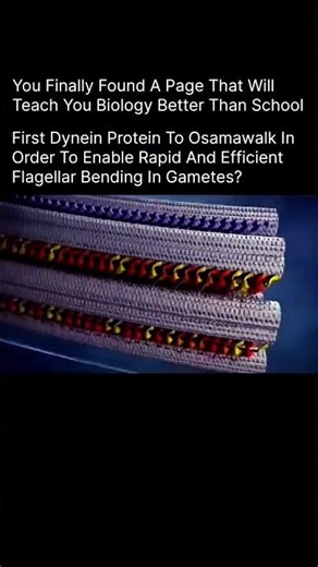 Nature’s Smallest Engine: How Dynein Proteins Walk 🧬 | #Biology #Shorts