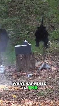 Tactical Reloads, Cinder Blocks & Ram Targets: Range Day!