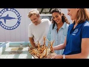 Reefhouse Resort and Marina Key Largo, Florida