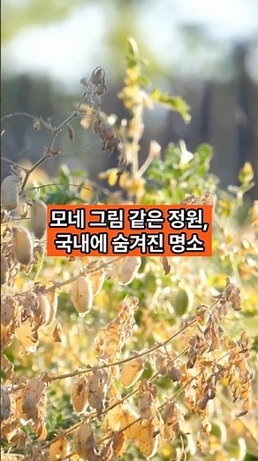 모네 그림 같은 정원, 국내에 숨겨진 명소 #모네 #그림정원 #국내명소 #중장년여행