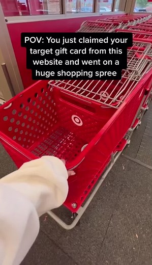 Shopping Hauls on TikTok