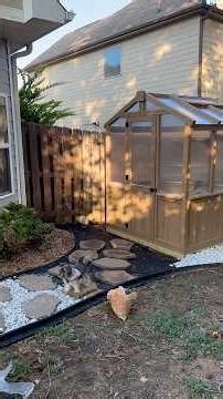 Greenhouse Part 4 🌱 #diy #backyard #project #greenhouse #home #garden