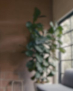 33 reactions · 6 comments | "We realized this was a super untapped market of people buying furniture for the first time, not going the interior design route, but also not being comfortable doing it themselves." --Beatrice Fischel-Bock of @hutchapp #TheoryAtWork | Theory | Facebook