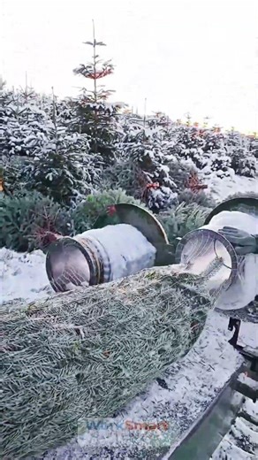 POWERFUL Winter Christmas Tree Netting Machine Smooth Packing