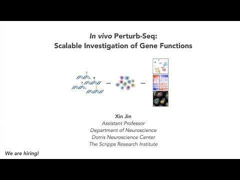 In vivo Perturb-seq: scaled investigation of gene functions in the brain