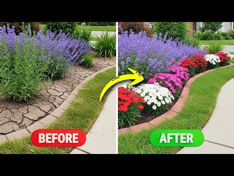 Messy Garden Beds? 😱 | These 7 Perennials Create CLEAN Edges