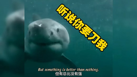 世界上最致命的🔪能喷射二氧化碳❗