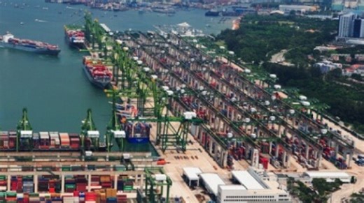 Singapore Stops Moving Empties After Falling Box Injures Forklift Operator