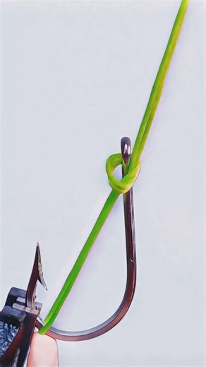 🐟简单并且极其牢固的鱼钩结🐟A simple and extremely牢固 (firm) fishhook knot.🐟