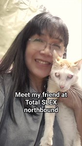 Tolpu is the crippled cat reported in a GC I was in before. Some wanted her rescued and as I happen to be on the road, I stopped to look for him. I saw him, gave him food and saw the crippled hind legs. This is our 1st meeting this 2026 and I saw how his leg has become better. And he is sweeter than ever, a favorite of the guards and employees. Rescuing is not always the solution. #cat #cats #pusa #puspin #straycat #catlovers #animals #animallover #animalwelfare ##catsofinstagram #catstagram #ca