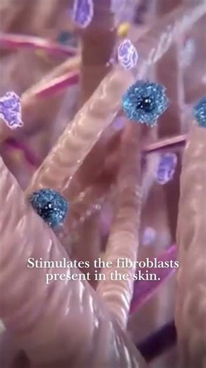 How does a collagen booster work in your skin?