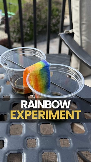 Easy At-Home Science Experiments Kids Will Love