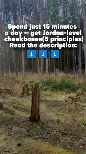 13 апреля 2026 г.