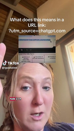 Understanding UTM Parameters in URLs