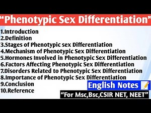 Phenotypic sex Differentiation | English Notes | Stages of Phenotypic Sex Differentiation