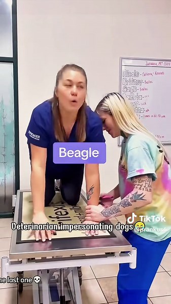 Veterinarian Impersonating Dogs 😆😆#funny #prank #scare #funnyvideos #foryou