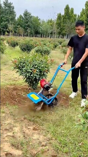 Soil Cultivation Around Ornamental Plants Using a Compact Rotary Tiller