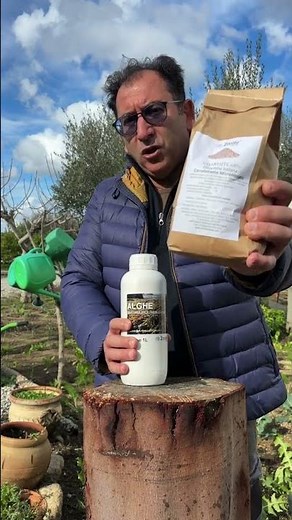 Le orticole invernali e i prodotti Bio zeolite