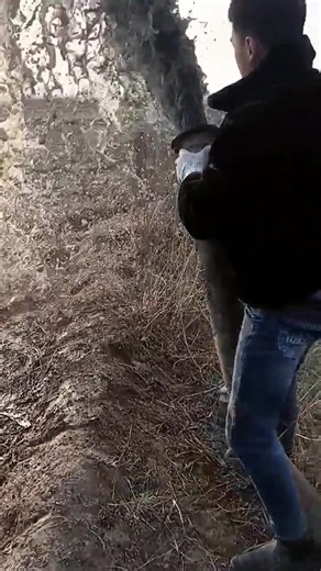 Farm Machine #mechanic #farming | Lisa M