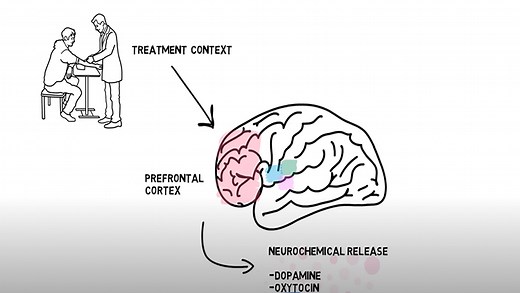 The Neuroscience Behind the Placebo Effect