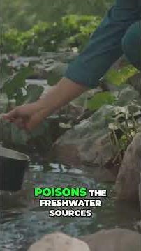 Kerala's Paradise: Climate Change & Pollution's Silent Threat #shorts